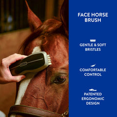 Wahl brosse en usage près des yeux du cheval pour nettoyer en douceur les zones sensibles