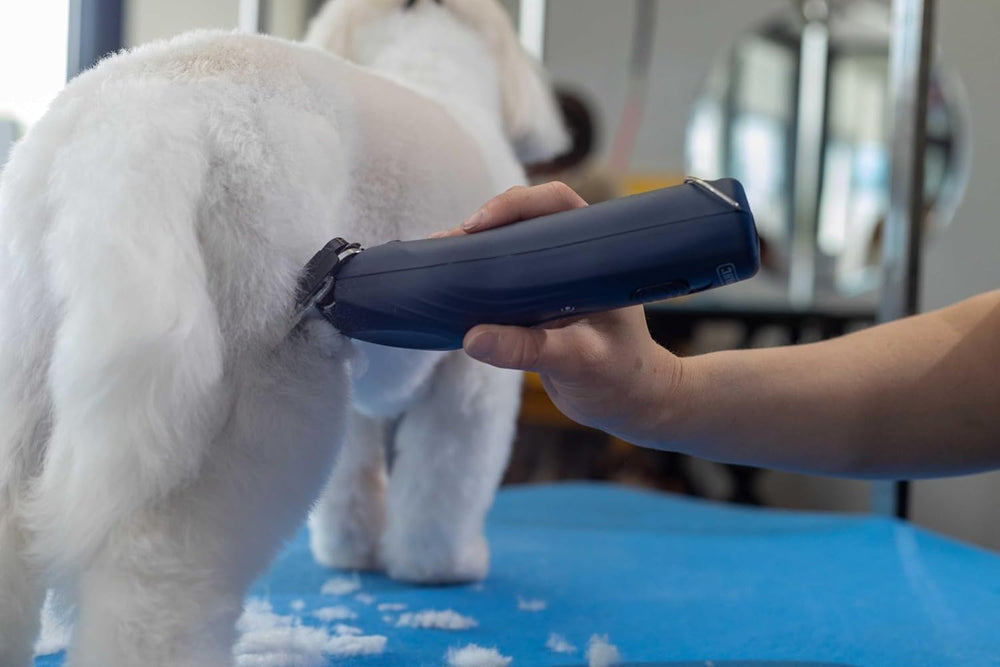 Wahl Professional KMC+ accessoires et chargeur pour entretien et recharge rapide