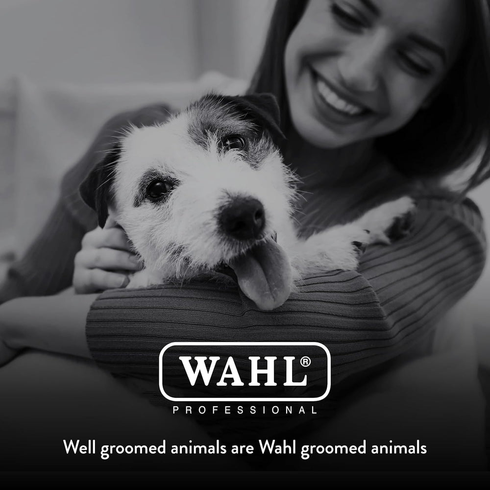 Wahl lame 4F avant après toilettage démontrant rendu exposition