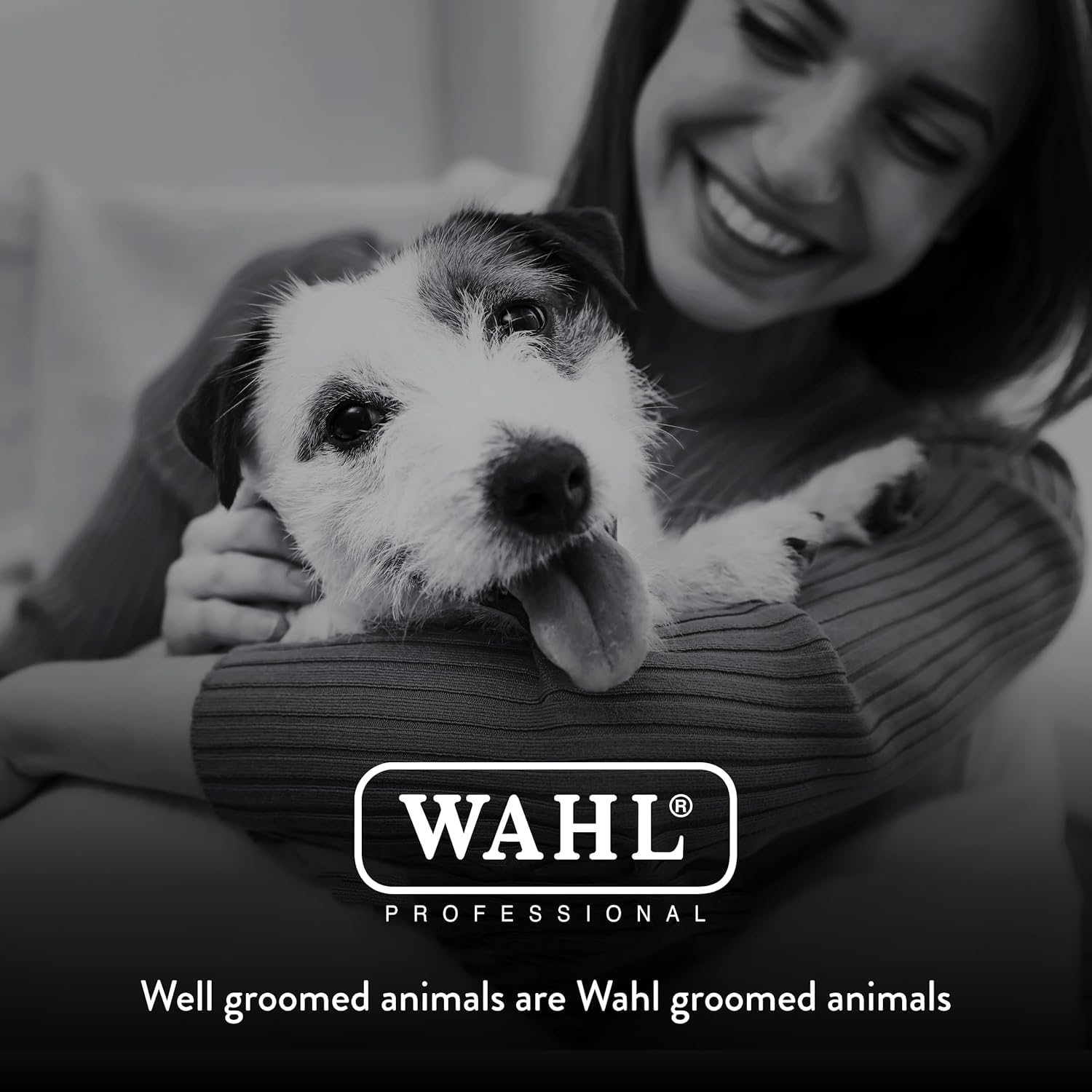Wahl lame avec emballage et référence, confort d'achat assuré