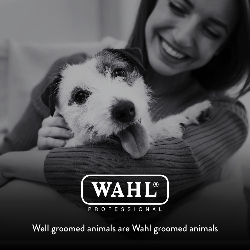 Wahl lame posée parmi outils illustrant rangement professionnel pratique