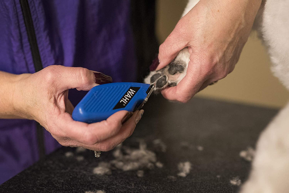 Wahl Pocket Pro Equine capot et huile inclus pour entretien facile