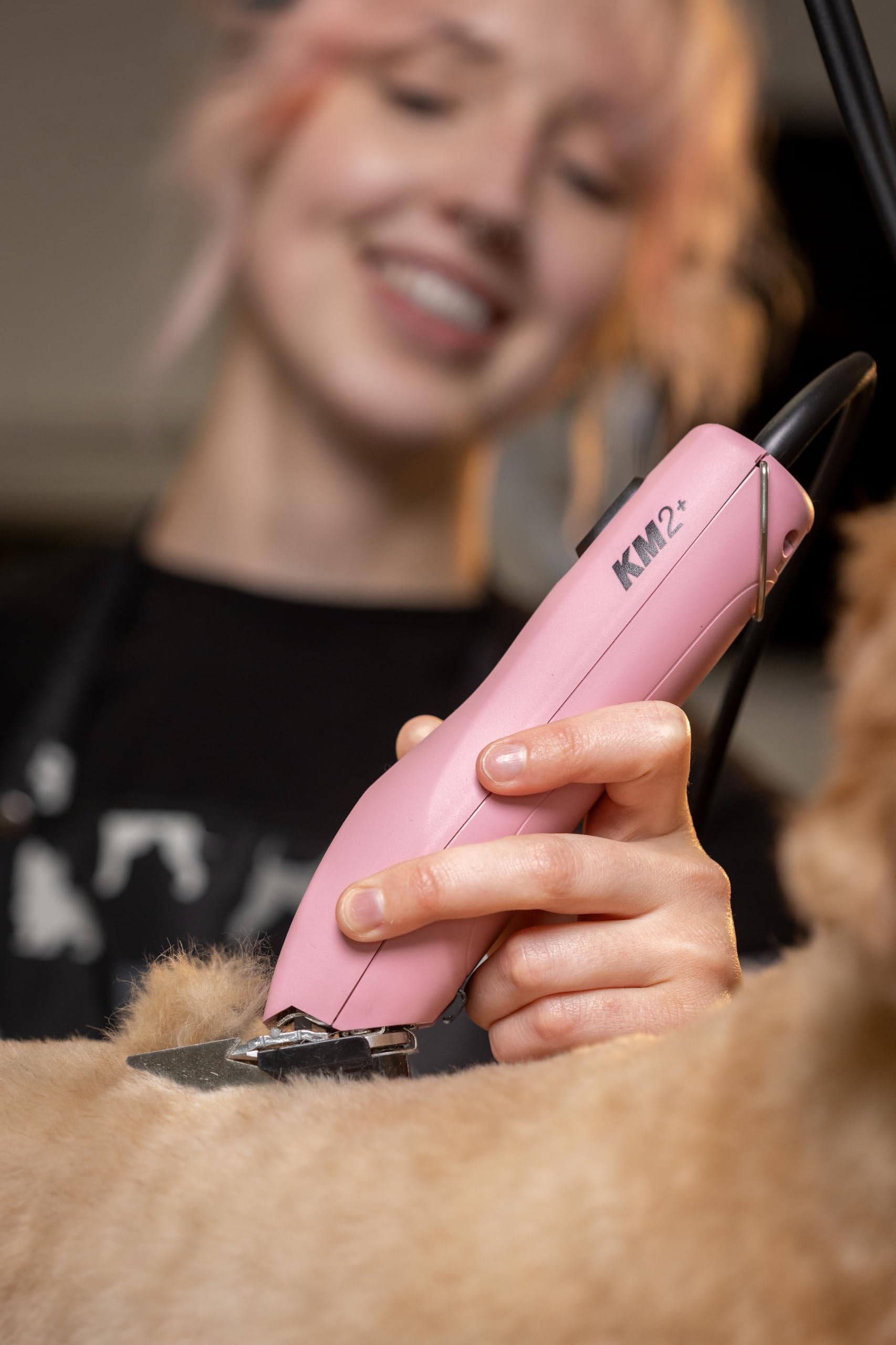 Wahl étiquette et logo sur appareil montrant qualité et confiance de la marque