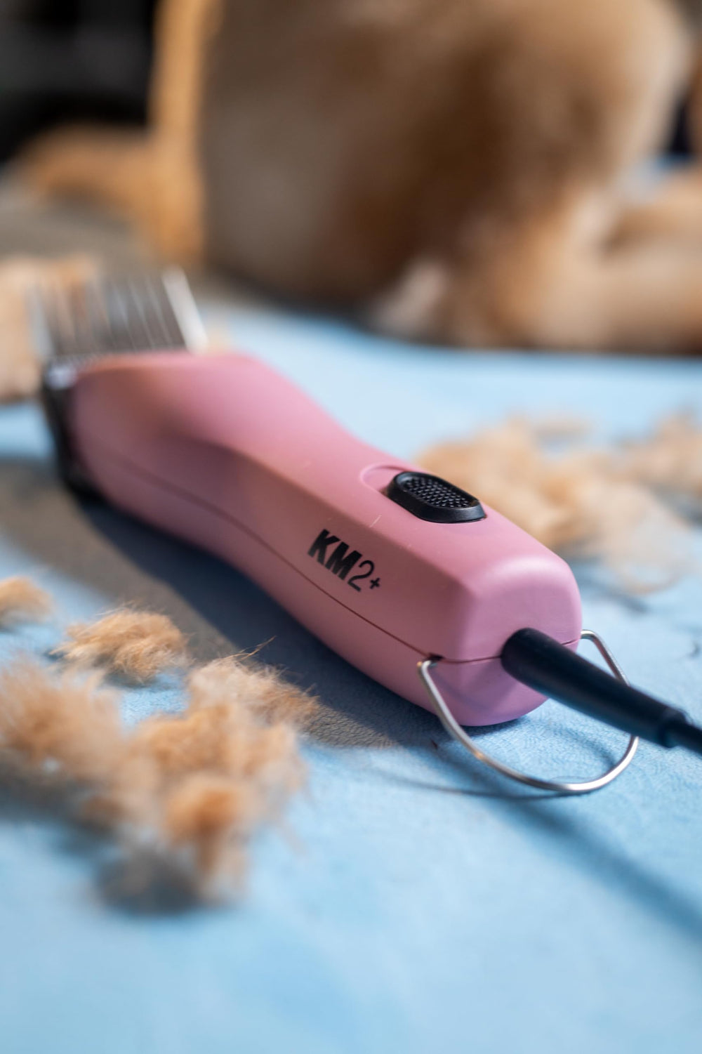 Wahl tondeuse dans salon lifestyle montrant professionnel obtenant finitions nettes