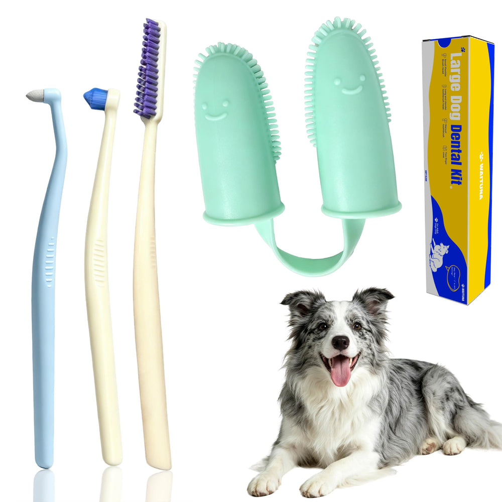 Waituna kit dentaire face avant montrant les quatre pièces pour grands chiens, pratique