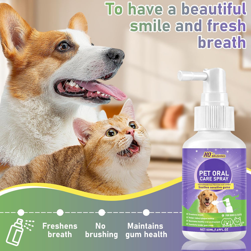 Wanban produit dans un cadre quotidien avec chien pour usage sans stress