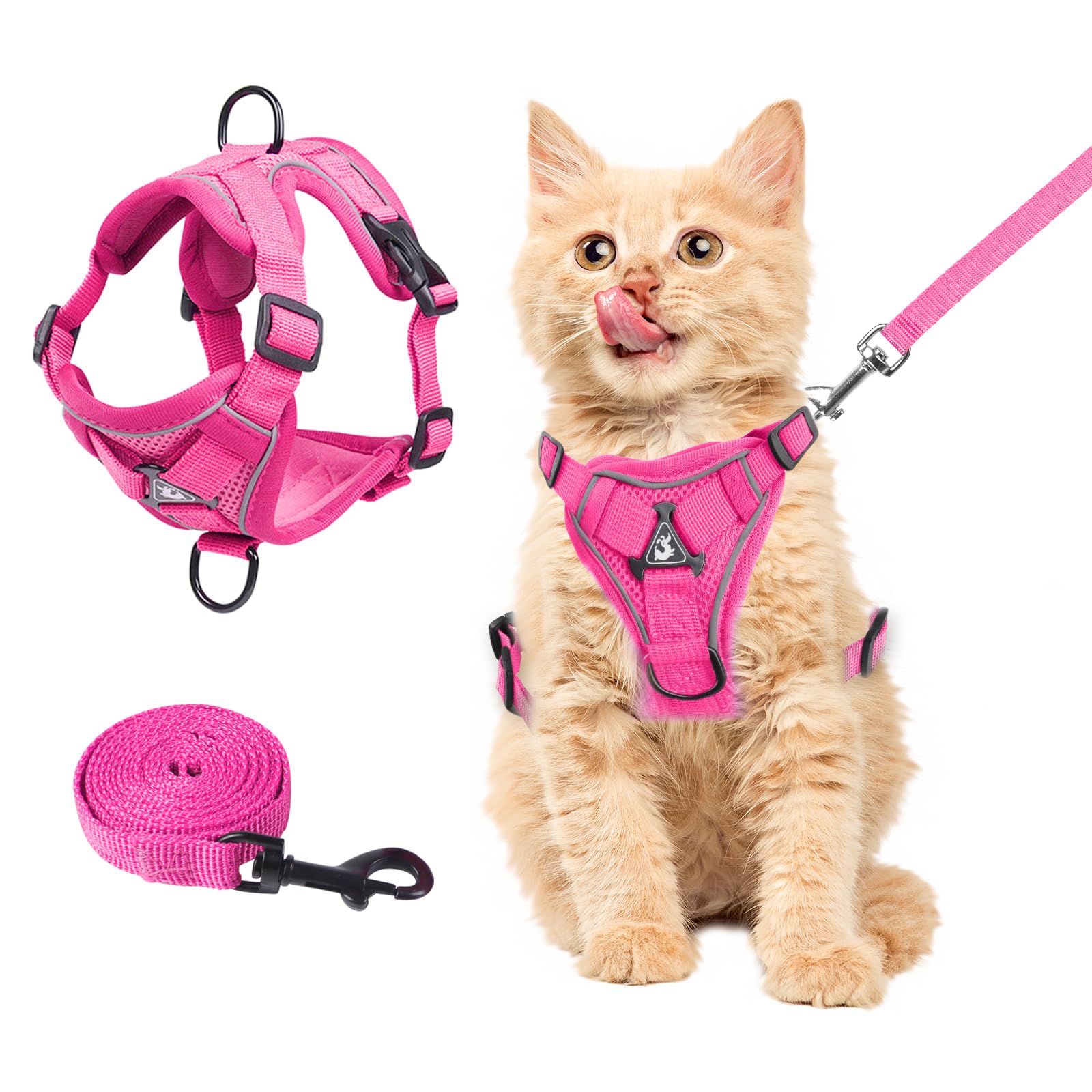 Wanheart harnais chat vue avant montrant coupe et confort