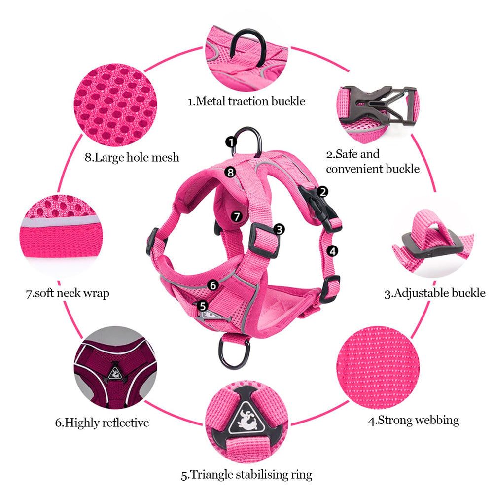 Wanheart harnais en usage sur chat démontrant maintien sûr en promenade