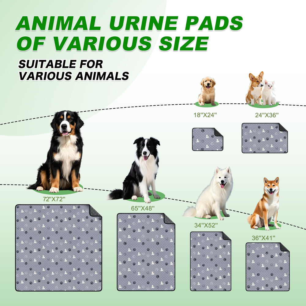 WanpeeGoo tapis à l'échelle montrant taille 36x36 pouces pour différents chiens