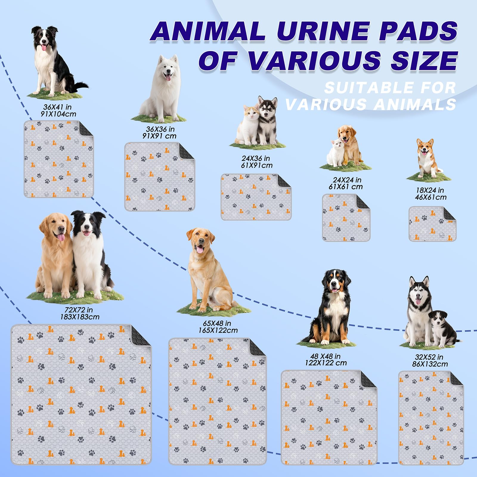 WanpeeGoo tapis posé dans salon ajoutant couleur et protection durable