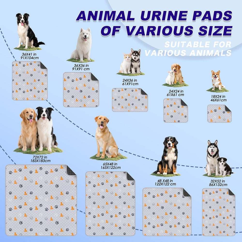 WanpeeGoo tapis posé dans salon ajoutant couleur et protection durable
