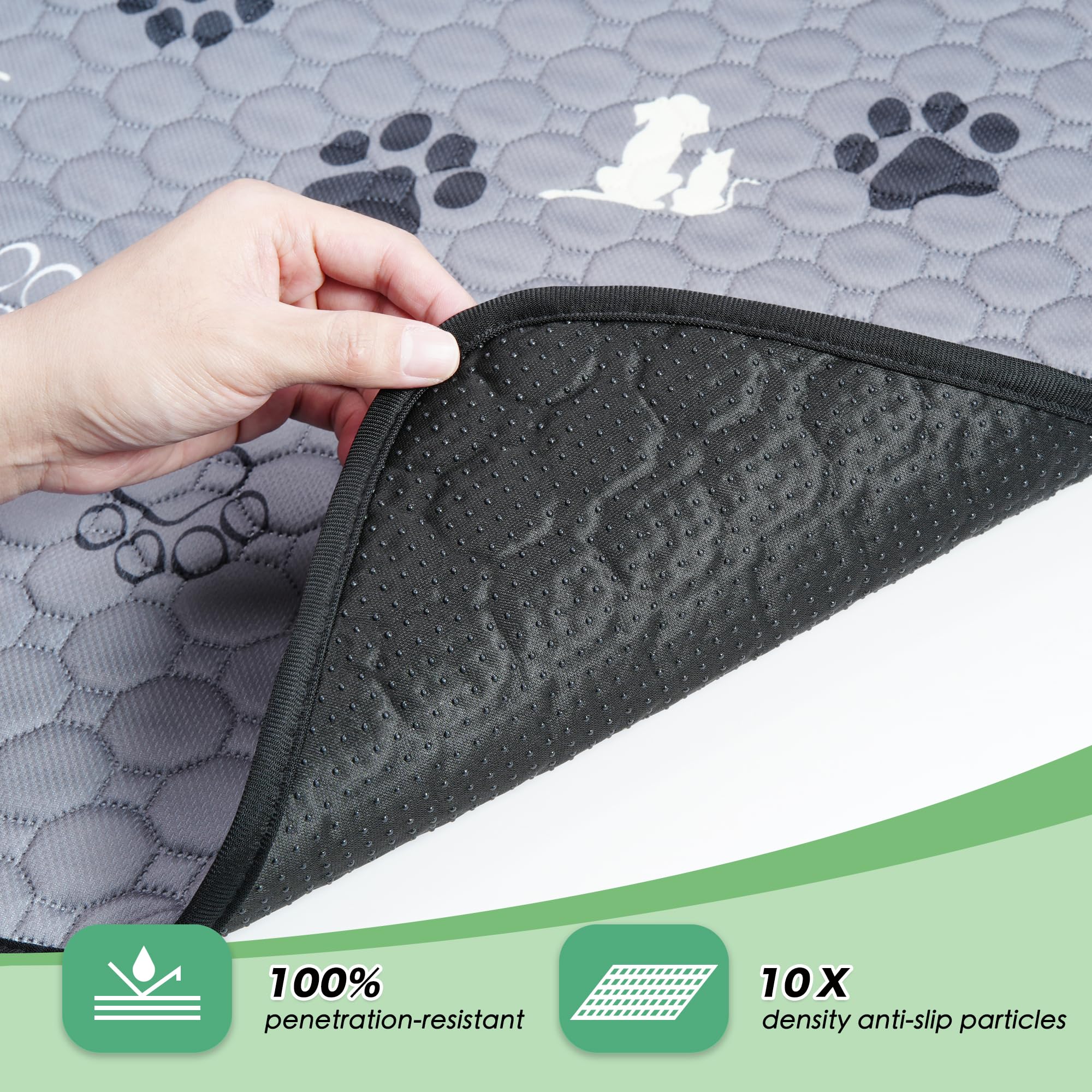 WanpeeGoo coupe transversale montrant couche absorbante efficace