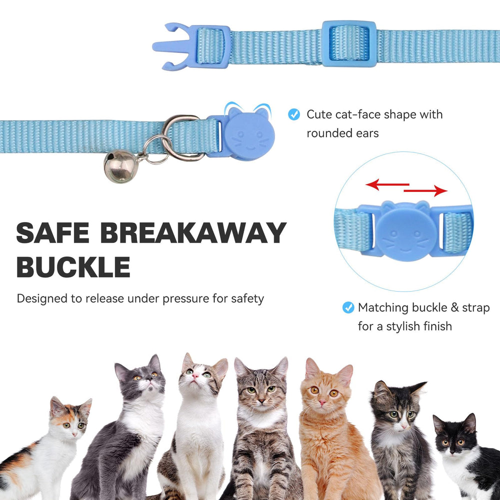 Waoduld collier porté par un chat en extérieur montrant repérage par clochette