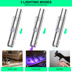 Waputne en usage avec chat poursuivant le point lumineux pour exercice actif