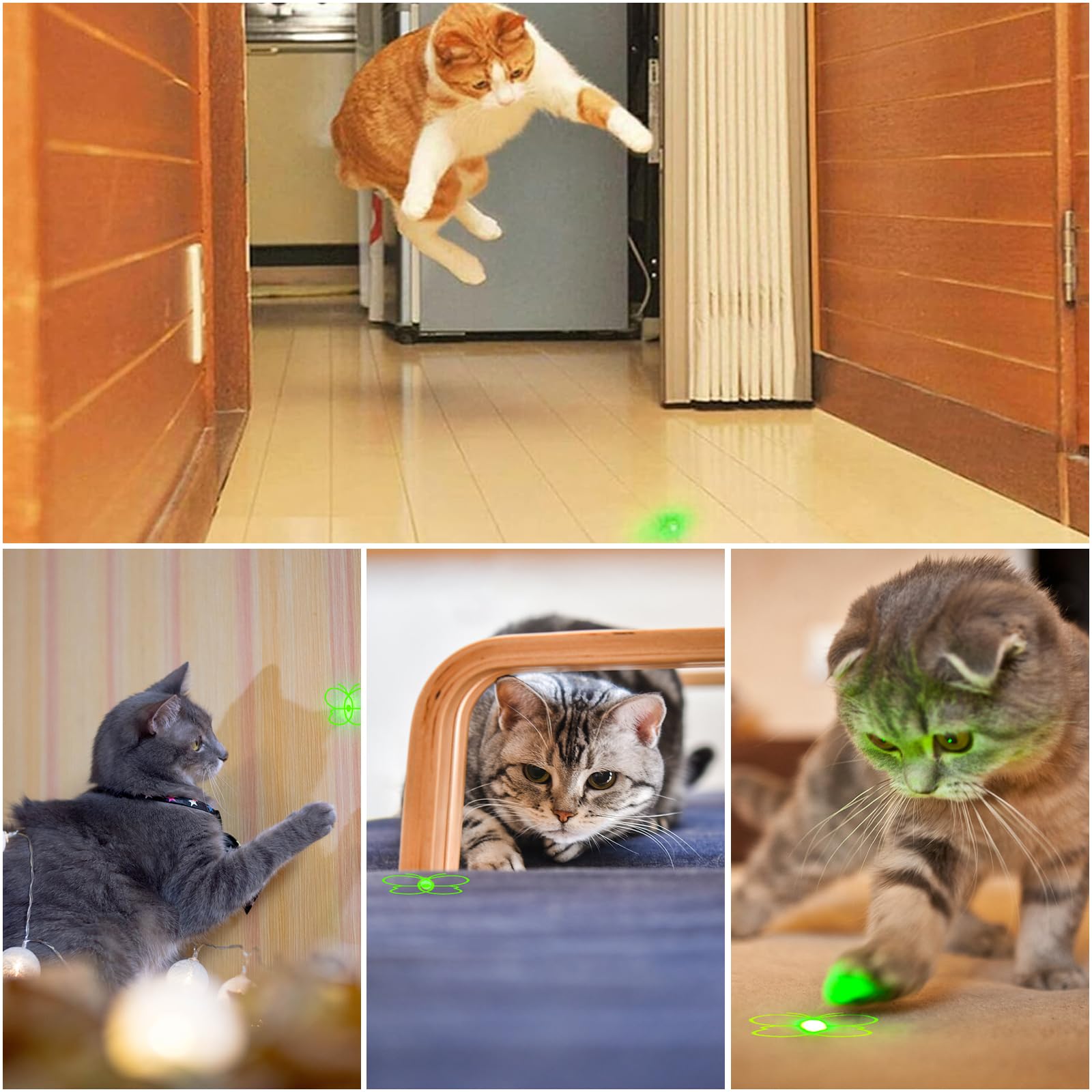 Waputne gros plan sur LED verte affichant forte visibilité pour attirer le chat
