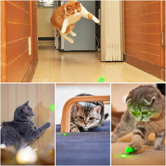 Waputne gros plan sur LED verte affichant forte visibilité pour attirer le chat