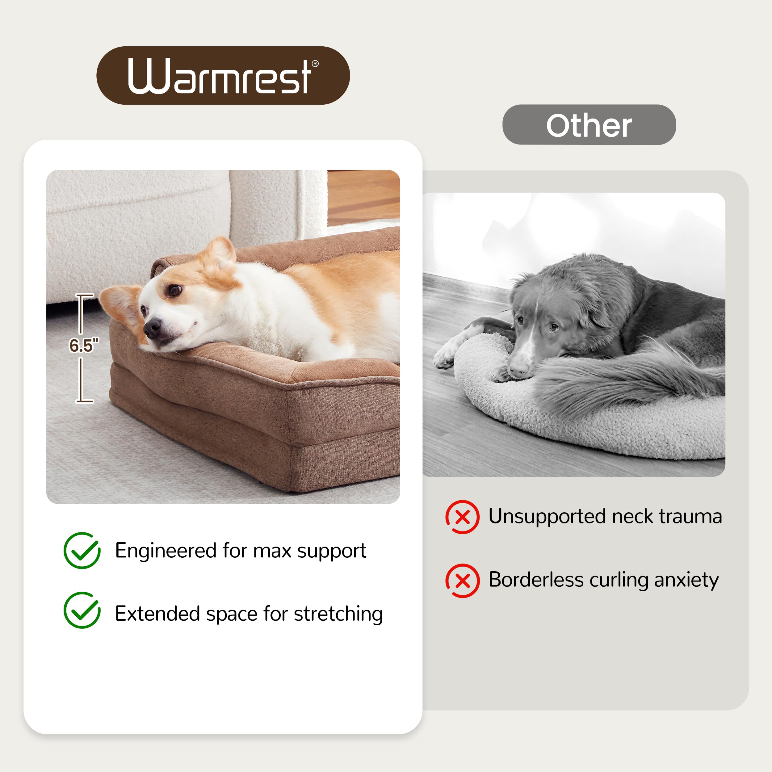 Warmrest chien petit se repose dans le lit, ambiance salon confortable