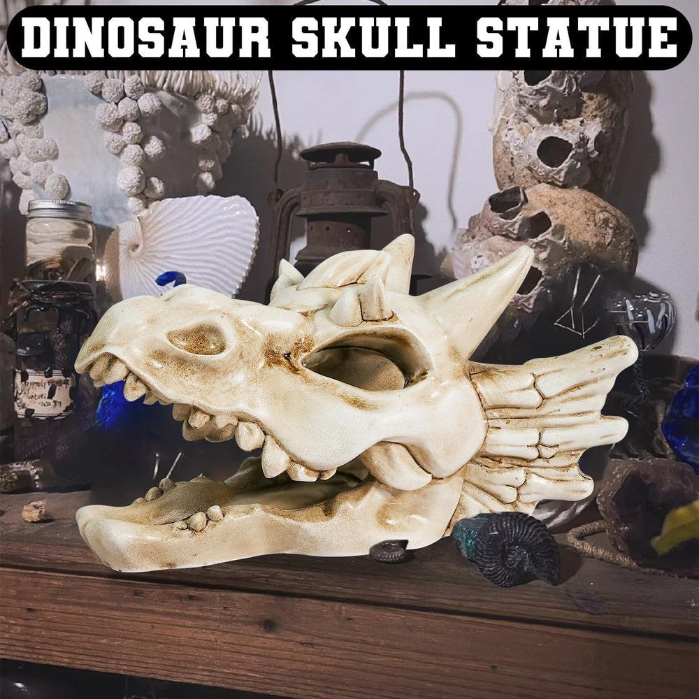 Warmtree crâne de dragon emballé en cadeau idée originale pour amateurs de dinosaures