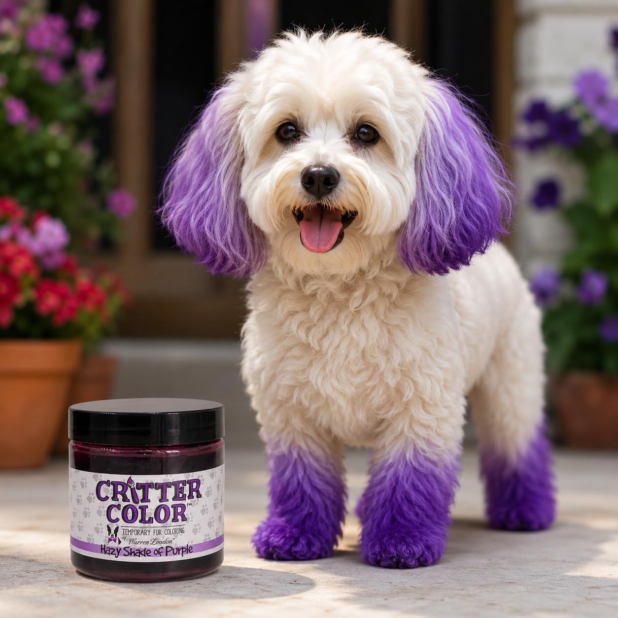 Warren London gros plan poils colorés violet, rendu brillant et uniforme