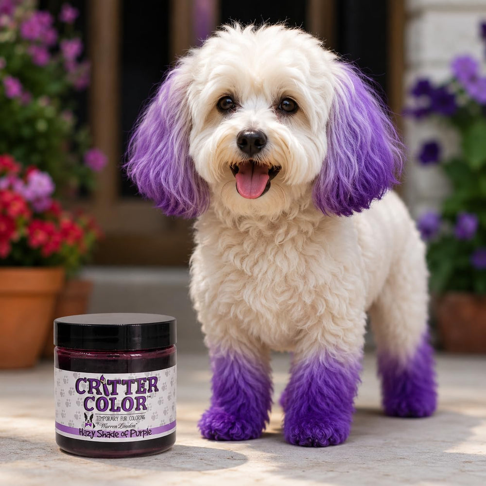 Warren London gros plan poils colorés violet, rendu brillant et uniforme