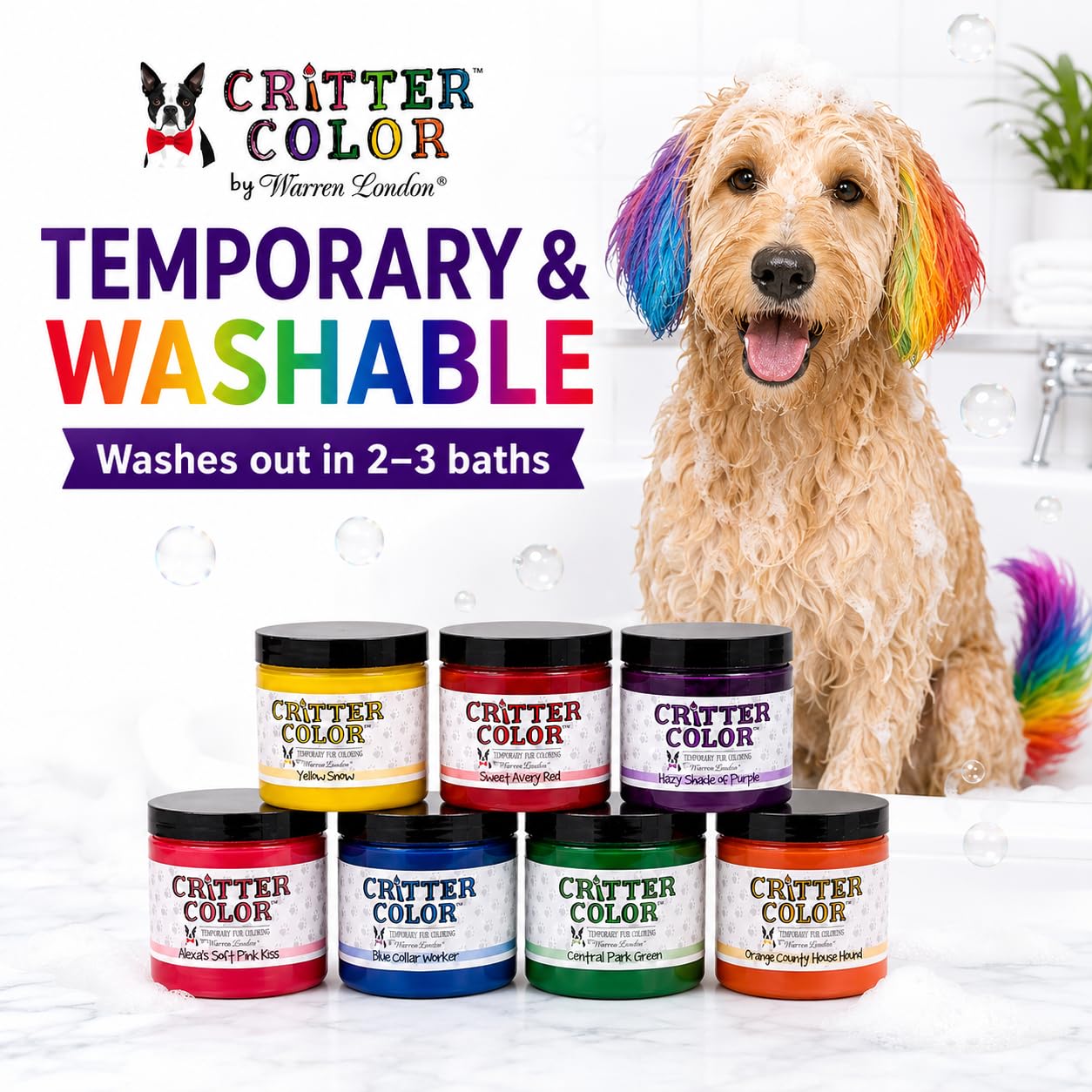 Warren London petit chien en costume Saint-Patrick avec teinte verte festive