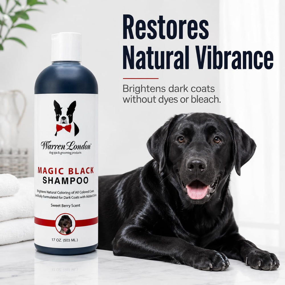 Warren London gros plan de la mousse, montrant une texture douce et nettoyante