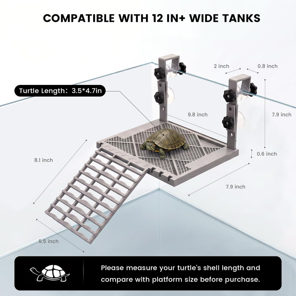 Wasegia tortue utilisant la plateforme pour se reposer confortablement