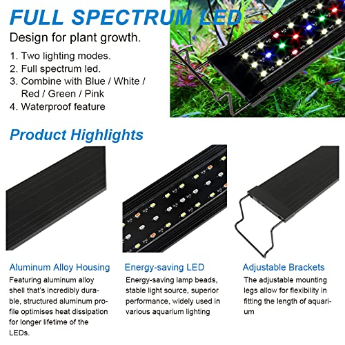 WaterRebirth gros plan des LEDs pour une luminosité stable et homogène