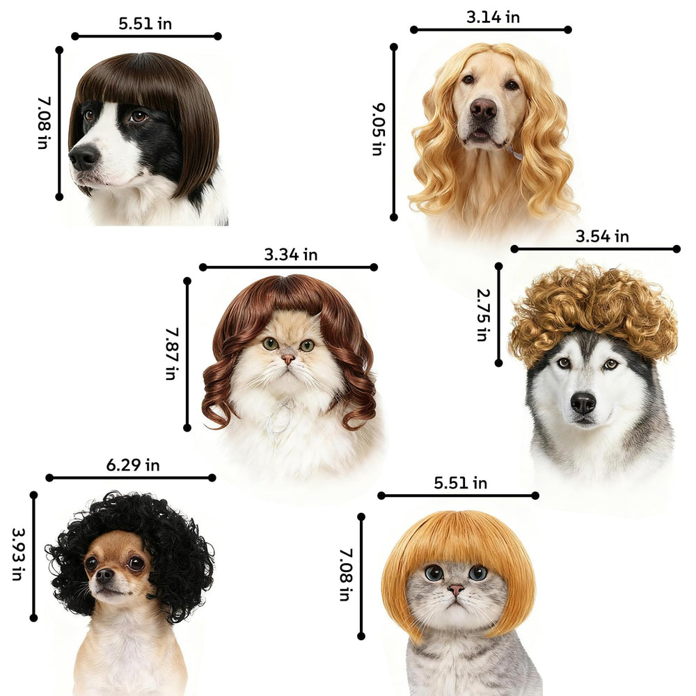 WCCDXGP chien avec perruque expressive, attire attention et aplomb