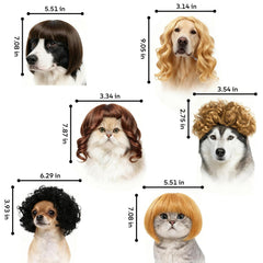 WCCDXGP chien avec perruque expressive, attire attention et aplomb