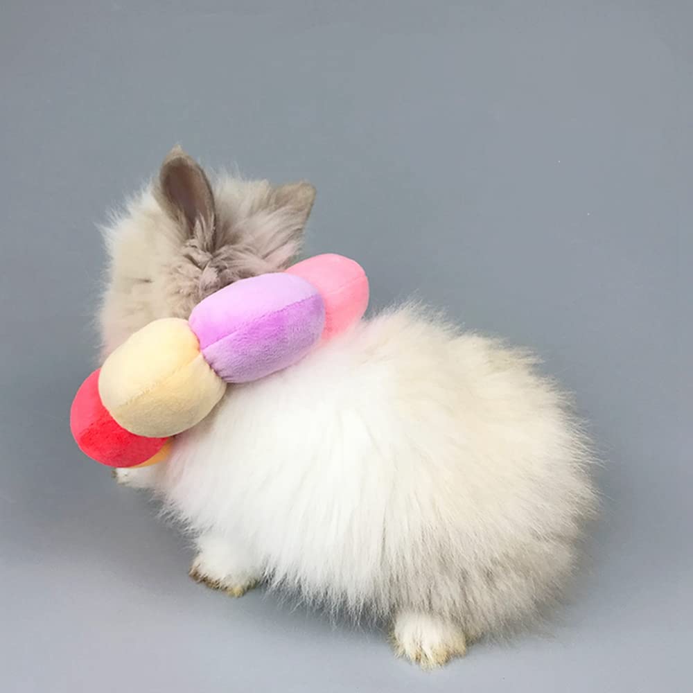 WCDJOMOP lapin portant collerette sécurise plaie et se repose