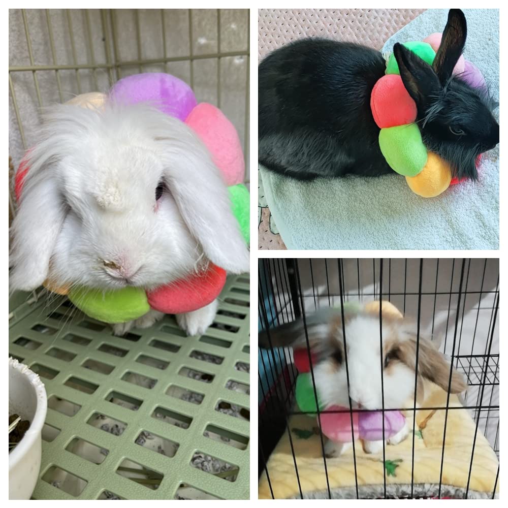 WCDJOMOP motif rainbow coloré attire sans stresser l’animal