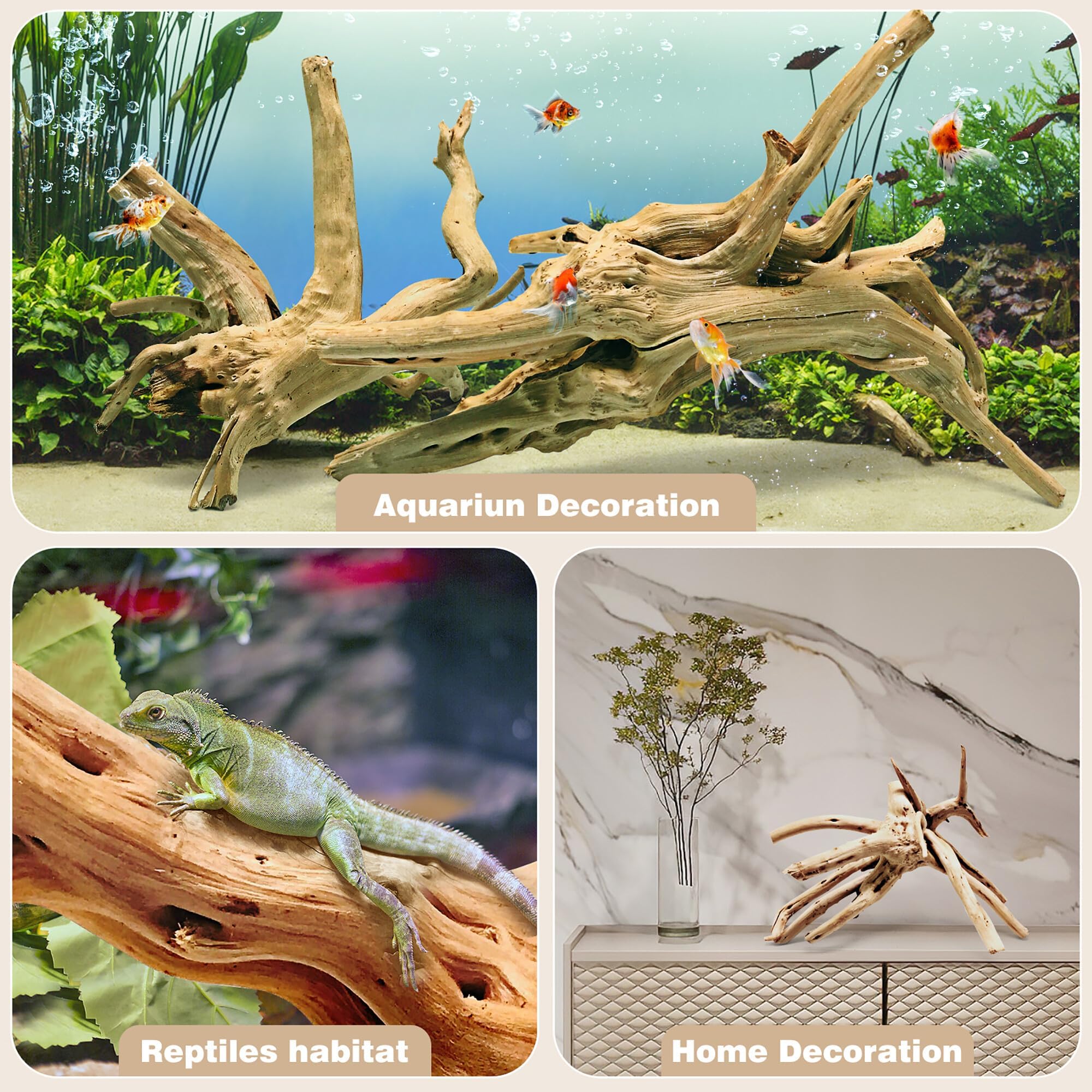 WDEFUN spiderwood en aquarium crée cachettes et relief pour poissons