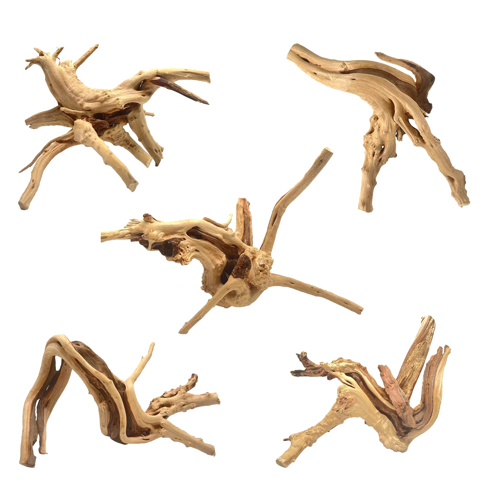 WDEFUN spiderwood pack devant montrant 5 branches pour décor naturel
