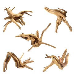 WDEFUN spiderwood pack devant montrant 5 branches pour décor naturel