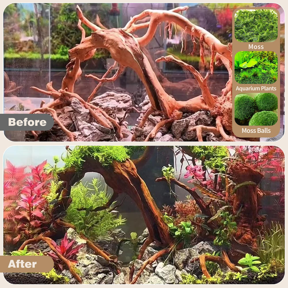 WDEFUN spiderwood dans terrarium montre robustesse pour reptiles grimper