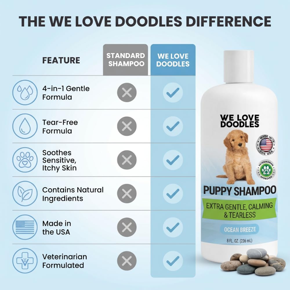We Love Doodles mise en scène Ocean Breeze créant une ambiance fraîche