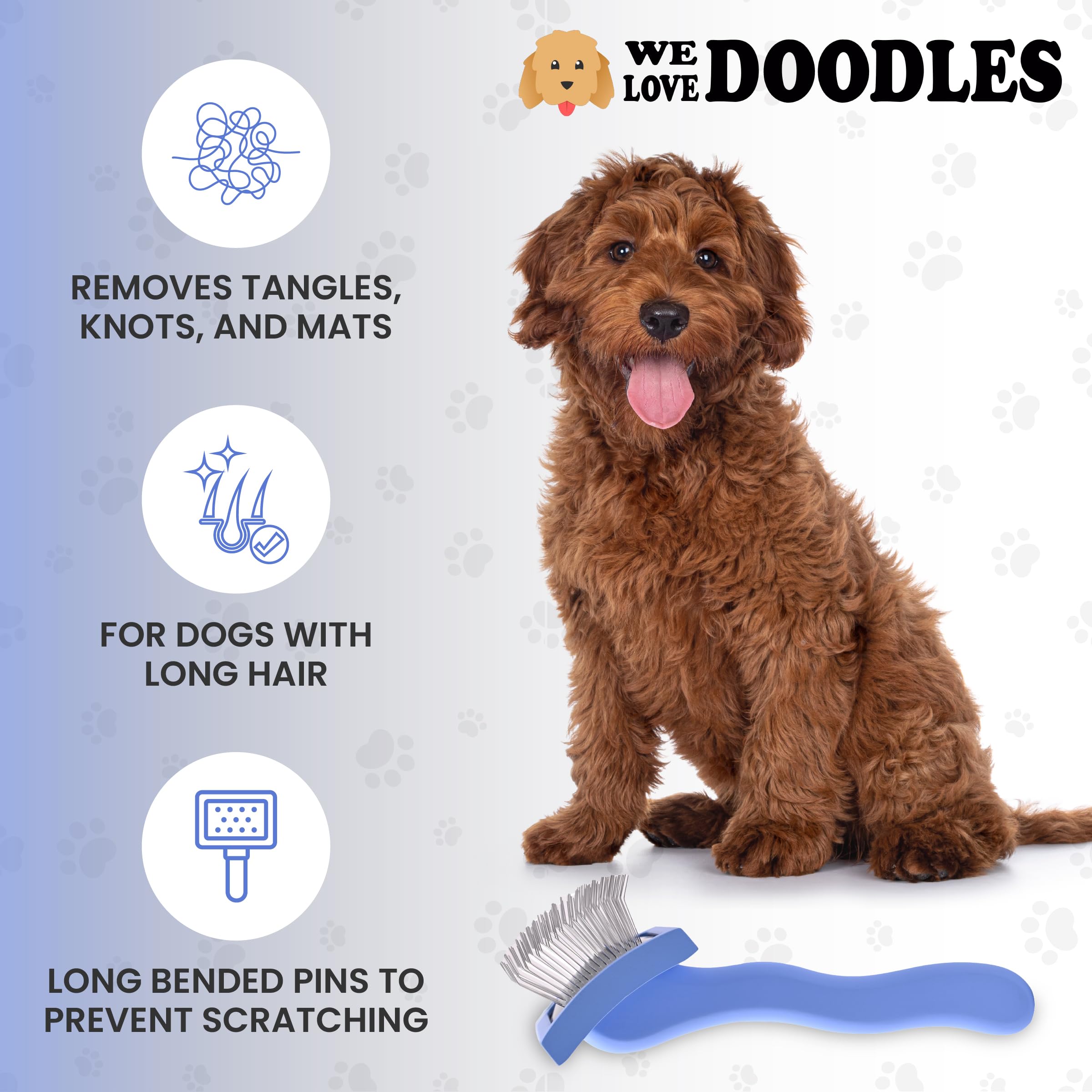 We Love Doodles brosse à l’échelle d’un chien pour référence de taille