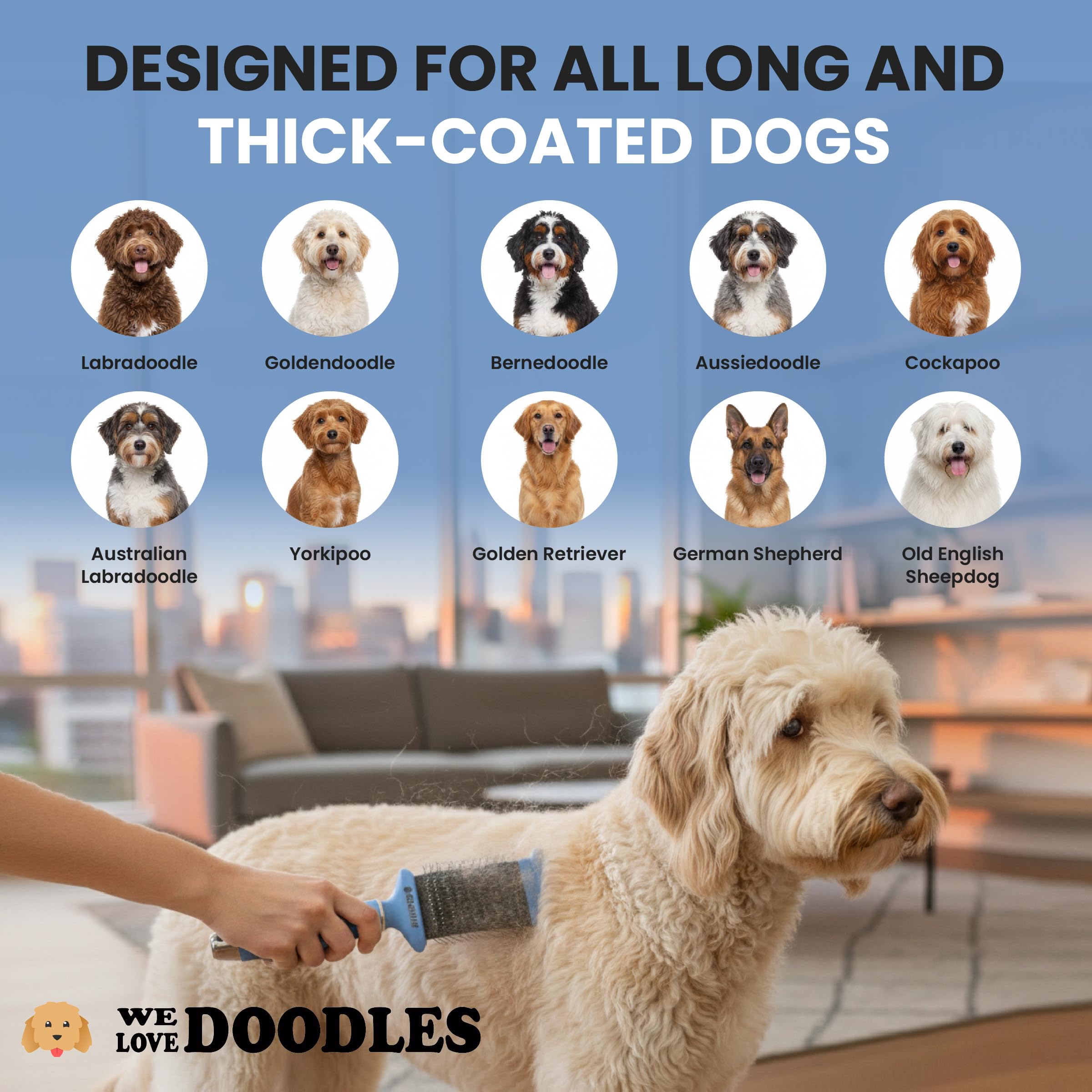 We Love Doodles brosse utilisée sur pelage Doodle pour finition douce