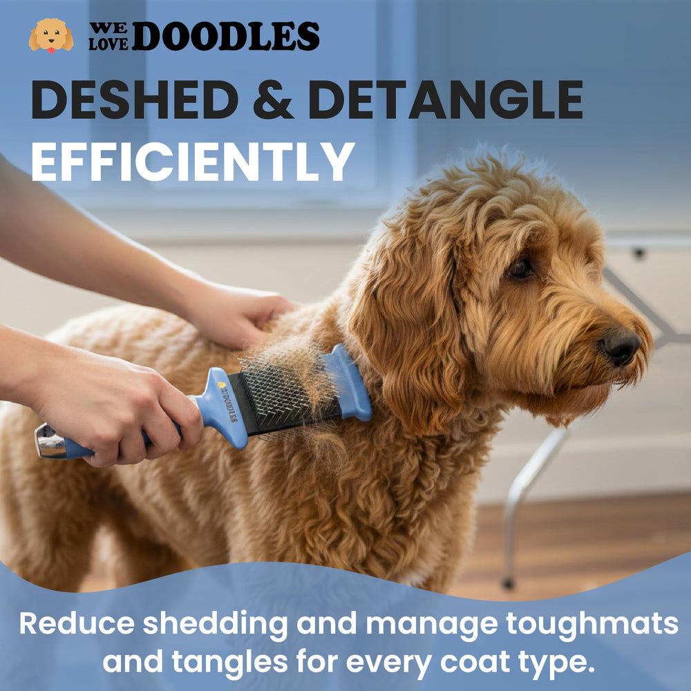 We Love Doodles comparaison de taille avec chiot pour évaluer échelle