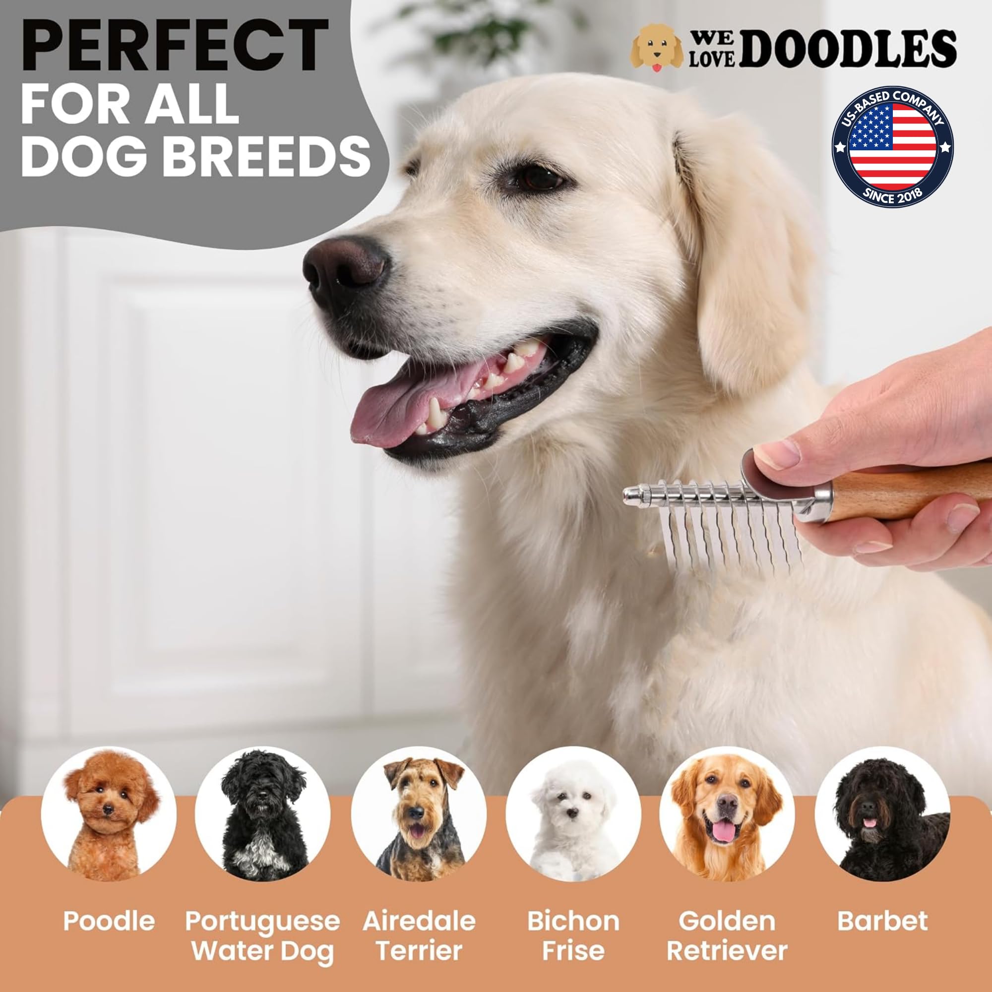 We Love Doodles comparaison taille de l’outil pour visualiser l’échelle