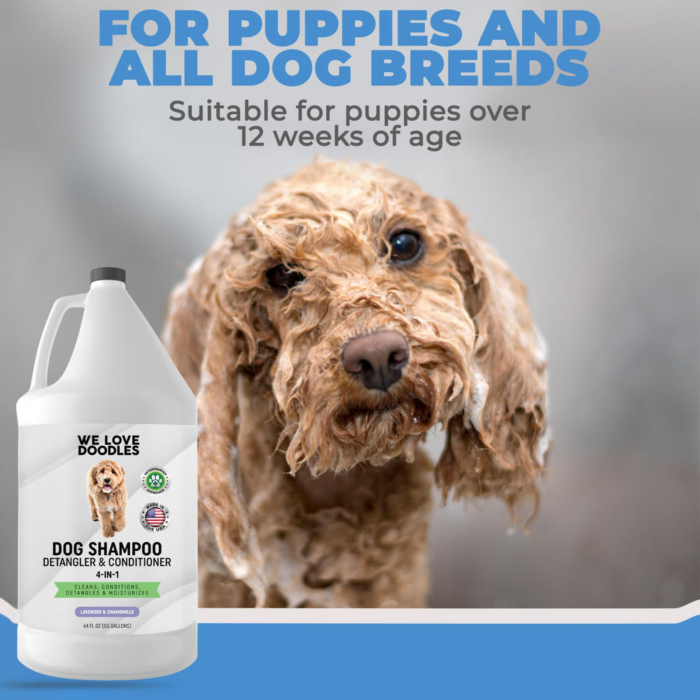 We Love Doodles pelage brillant après bain apportant facilité de brossage