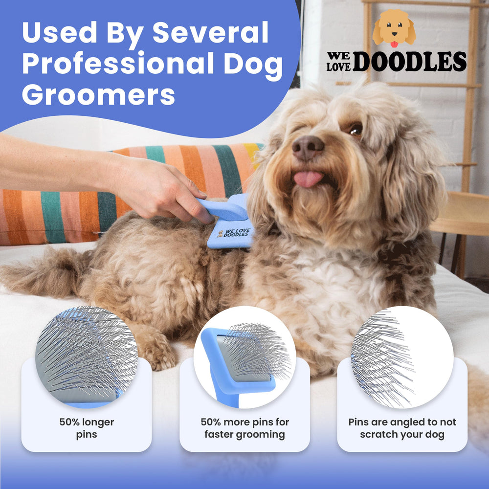 We Love Doodles brosse taille réelle comparée pour référence pratique