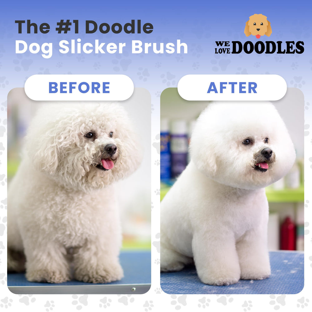 We Love Doodles brosse en usage sur Goldendoodle pour retirer nœuds