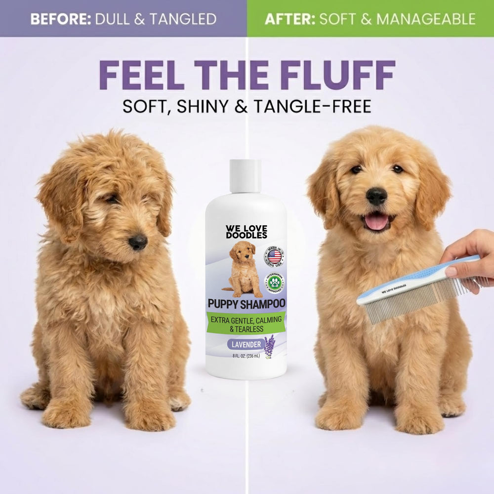We Love Doodles mousse onctueuse près du pelage pour nettoyage efficace