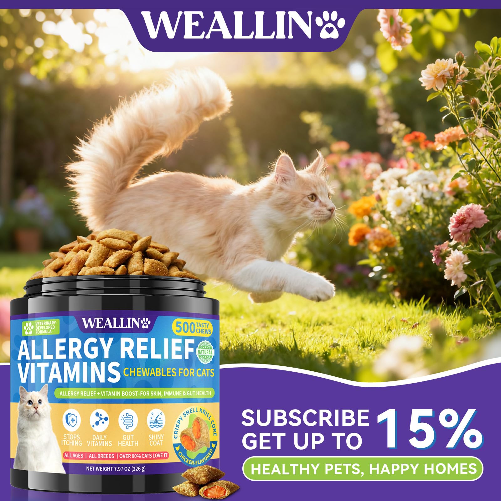 WEALLIN scène de salon avec chat détendu, pelage brillant et confort