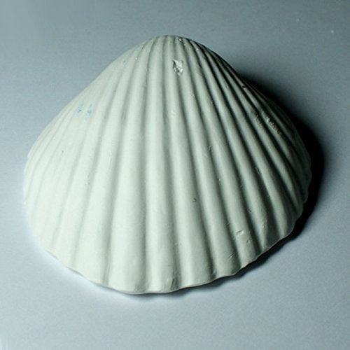 Weco Products coquilles disposées dans un placard illustrant utilisation gain de place