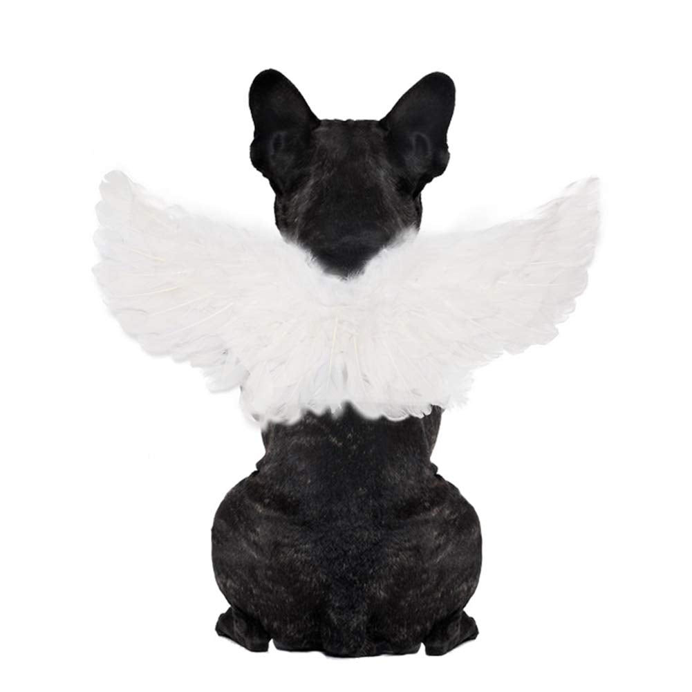 WeeH emballage des ailes blanches montrant dimensions et contenu, facile à préparer