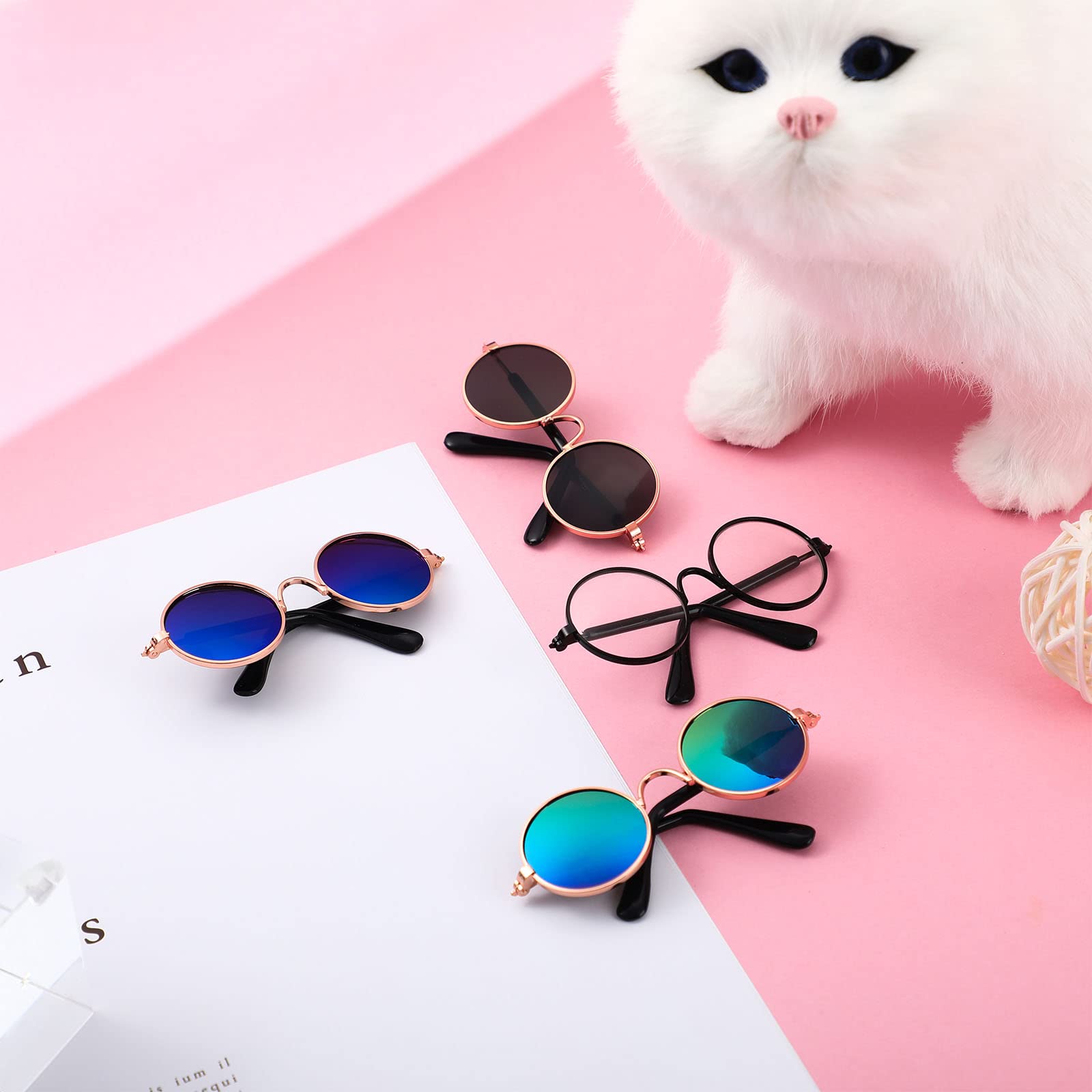 Weewooday chat avec accessoires en balade, maintien sûr et stylé