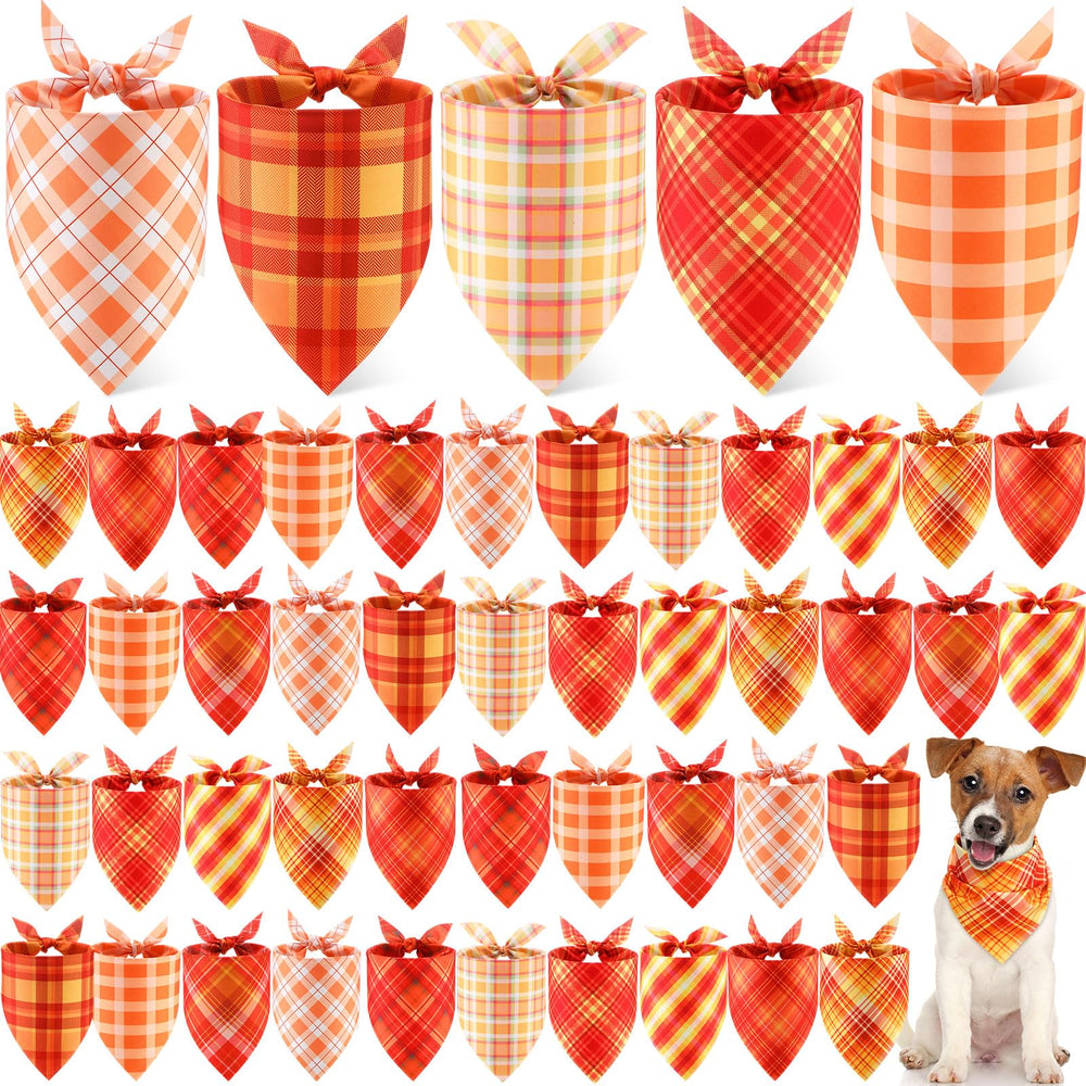 Weewooday bandana avant emballage montrant collection et praticité